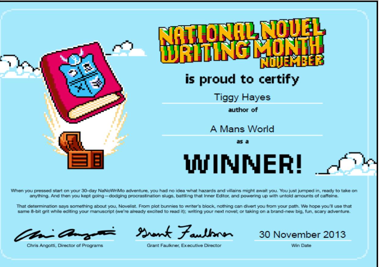 nanowrimo 2013 cert