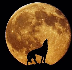 howling-moon