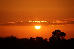 the-evening-sun-1525624